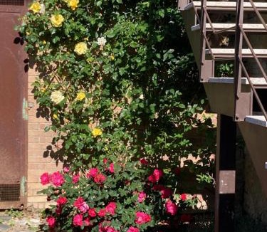 Sovicille Apartment | Carpineto1: Appartamento con giardino vicino Siena
