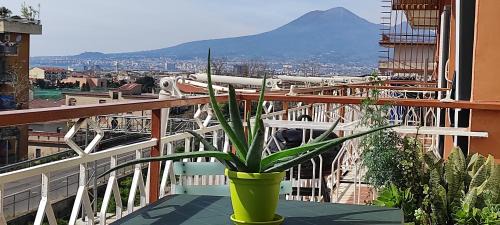 Castellammare di Stabia House | Casa Anna B&B- Luminosa con 2 balconi vista Vesuvio-IDEALE PER FAMIGLIE
