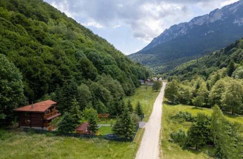 Zarnesti House | Casa Bucuriei - Plaiul Foii, Zărnești