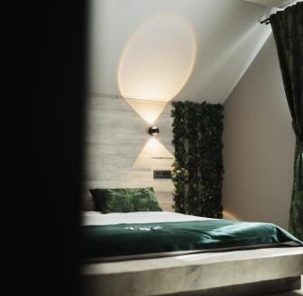 Baia-Sprie House | Casa Cerbului