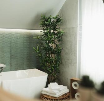 Baia-Sprie House | Casa Cerbului