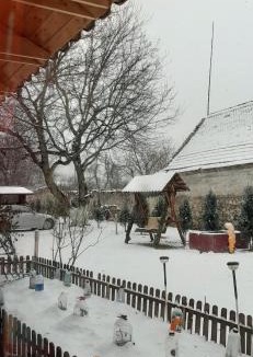 Vladeni Bed & Breakfast | Casa Doboş