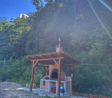Orastioara de Sus House | Casa Favorit
