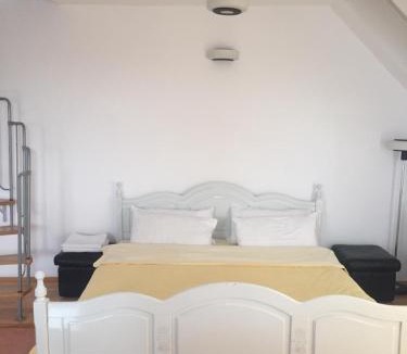 Tirgu Mures Apartment | Casa Flavia
