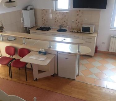Tirgu Mures Apartment | Casa Flavia