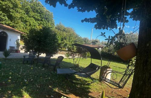 Velletri Apartment | Casa Holly