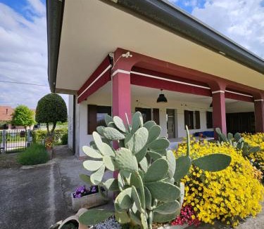 Due Carrare House | Casa Loretta