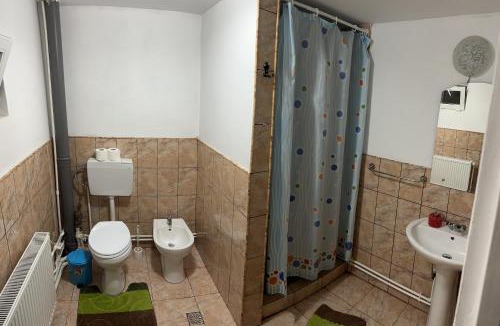 Viseu de Sus House | Casa Maria