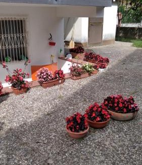Marina di Ascea Apartment | Casa mia - Marina di Ascea -
