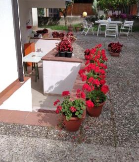 Marina di Ascea Apartment | Casa mia - Marina di Ascea -