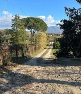 Palombara Sabina Villa | Casa nel verde a Monterotondo