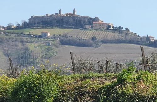 Cossignano House | Casa Ricci
