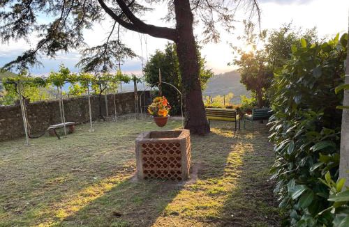 Pale House | Casa vacanze I PINI E IL CILIEGIO