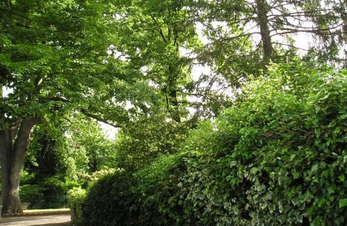 Poggio House | Casa vacanze Il Parco