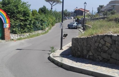 Colli di Fontanelle Apartment | Casa Vacanze Li Galli