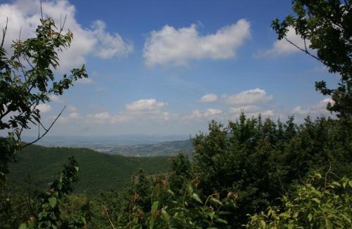 Pieve di Chio Villa | Casetta i Ciliegi