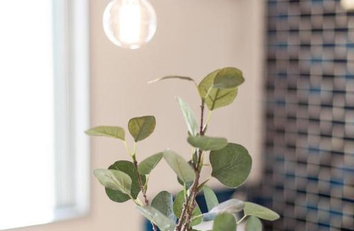 Honmachi Apartment | Cedar Hatsudai 307