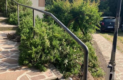 Albano Laziale Villa | Charming villa near Rome