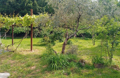 Saint-Priest-les-Fougeres Cottage | Chez Lili, calm and nature guaranteed