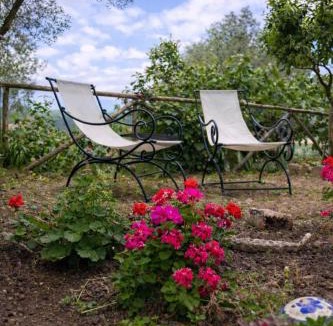 Sessa Cilento House | Cilento House with Garden & Sunset View