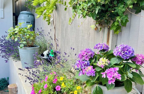 Hampton Wick Cottage | Cute cottage beside The River Thames & Hampton Court Palace