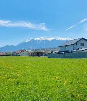 Tohanu Nou Villa | D&M Family Residence Bran 1