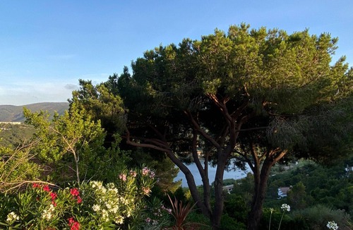 Mola Apartment | Dahlia suite di pregio - Porto Azzurro