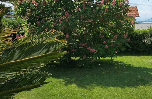 Colonnella Apartment | Detached apartment in a very quiet area, with garden available