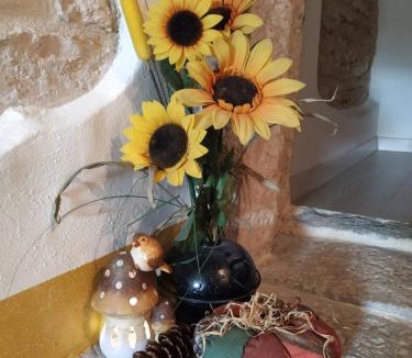 Negrar Apartment | Dolci Vecchi Ricordi in Valpolicella