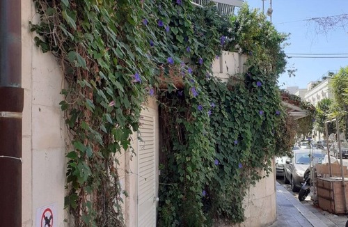 Trani House | DWELLING SIMONA THE CATHEDRAL WITHIN WALKING DISTANCE VACATION HOME TRANI ITALY