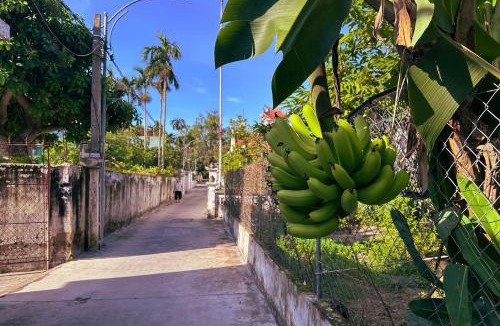 Hai Hau House | Ecohost Hai Trung