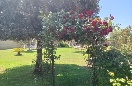 Ladispoli Bed & Breakfast | Elegance B&B