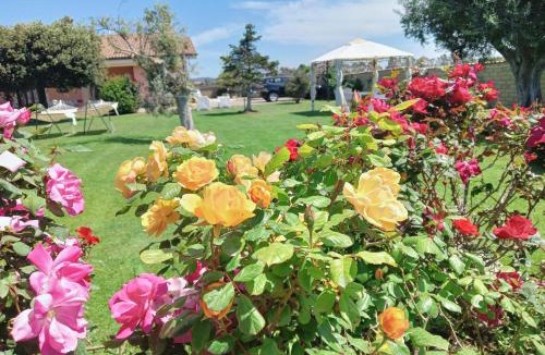 Ladispoli Bed & Breakfast | Elegance B&B