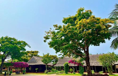 Cam Thanh Resort | ENSO Retreat Hoi An - Rediscovery & Serenity