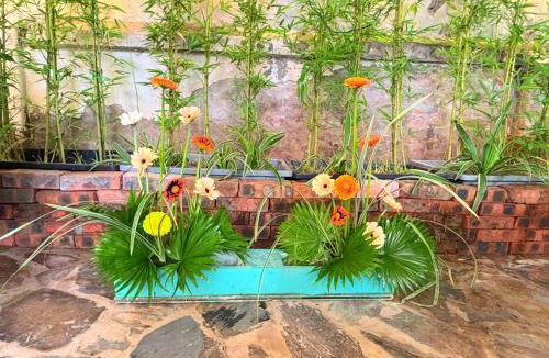 Ba Dinh Bed & Breakfast | Entire Đòng Garden House