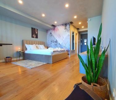Cluj County Apartment | Eriss Studio Suite - OZone building apartment