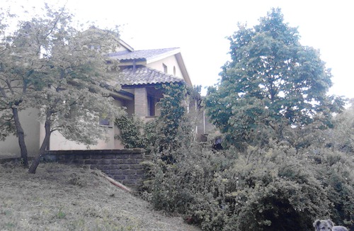 Capranica House | FARMHOUSE SURROUNDED BY GREENERY AND CULTIVATED FIELDS OF VEGETABLES