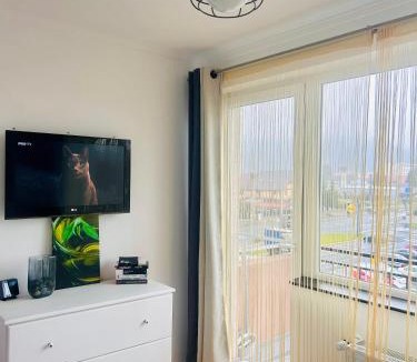 Rasnov Apartment | Fortress View2