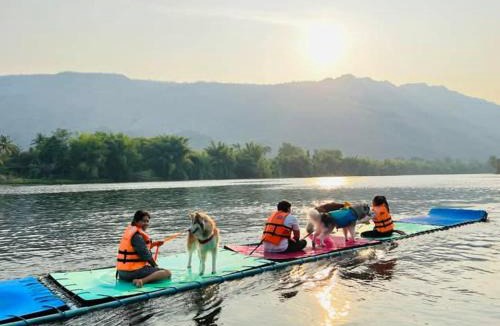 Hoa Vang Other | Freezone Glamping