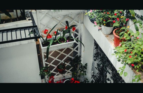 Hang Bo House | Garden House Old quarter