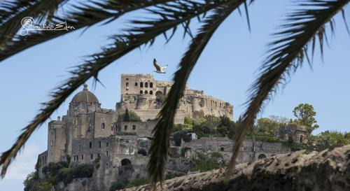 Ischia Ponte Hotel | Giardino Eden Resort