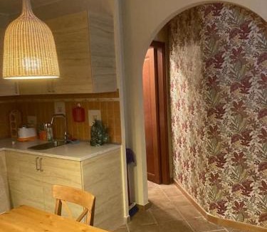Zona XLV Castel di Guido Apartment | Grazioso appartamento tra Roma e il mare
