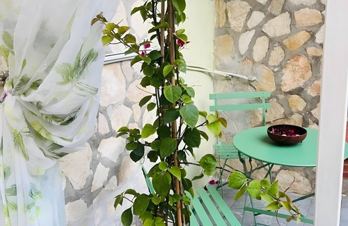 Minturno Apartment | Guest House 'La Colonnina' with Shared Garden, Wi-Fi and Air Conditioning