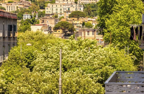 Rione Sanita Apartment | Guest Rooms Bellini - Totò - Studios Superior