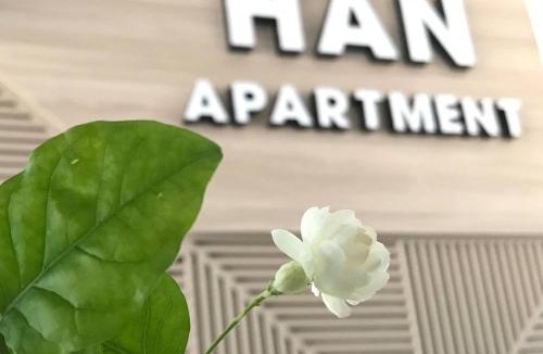 Son Tra Apartment | Han Apartment