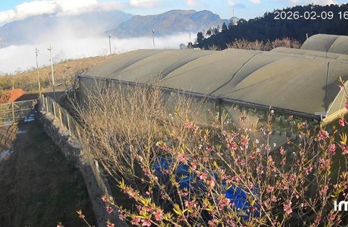 Sa Pa Bed & Breakfast | Happy Farmstay Sapa