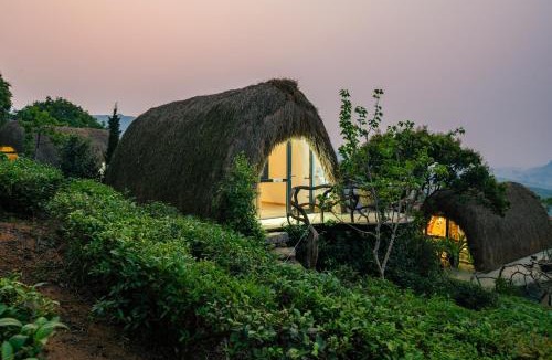 Moc Chau Resort | Hippie Home Mộc Châu
