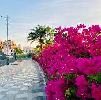 Phan Thiet Hotel | Hoàng Nga 2 Homestay