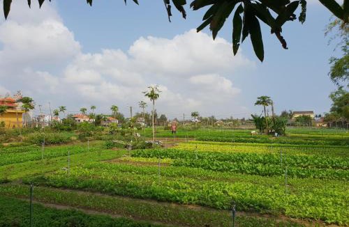 Tra Que Vegetable Village Hotel | Hoi an Osaka Riverside Villa & Spa