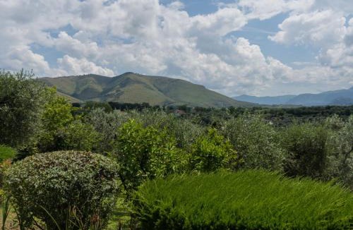 Canneto House | Holiday Home Olive Grove Sabina by Interhome